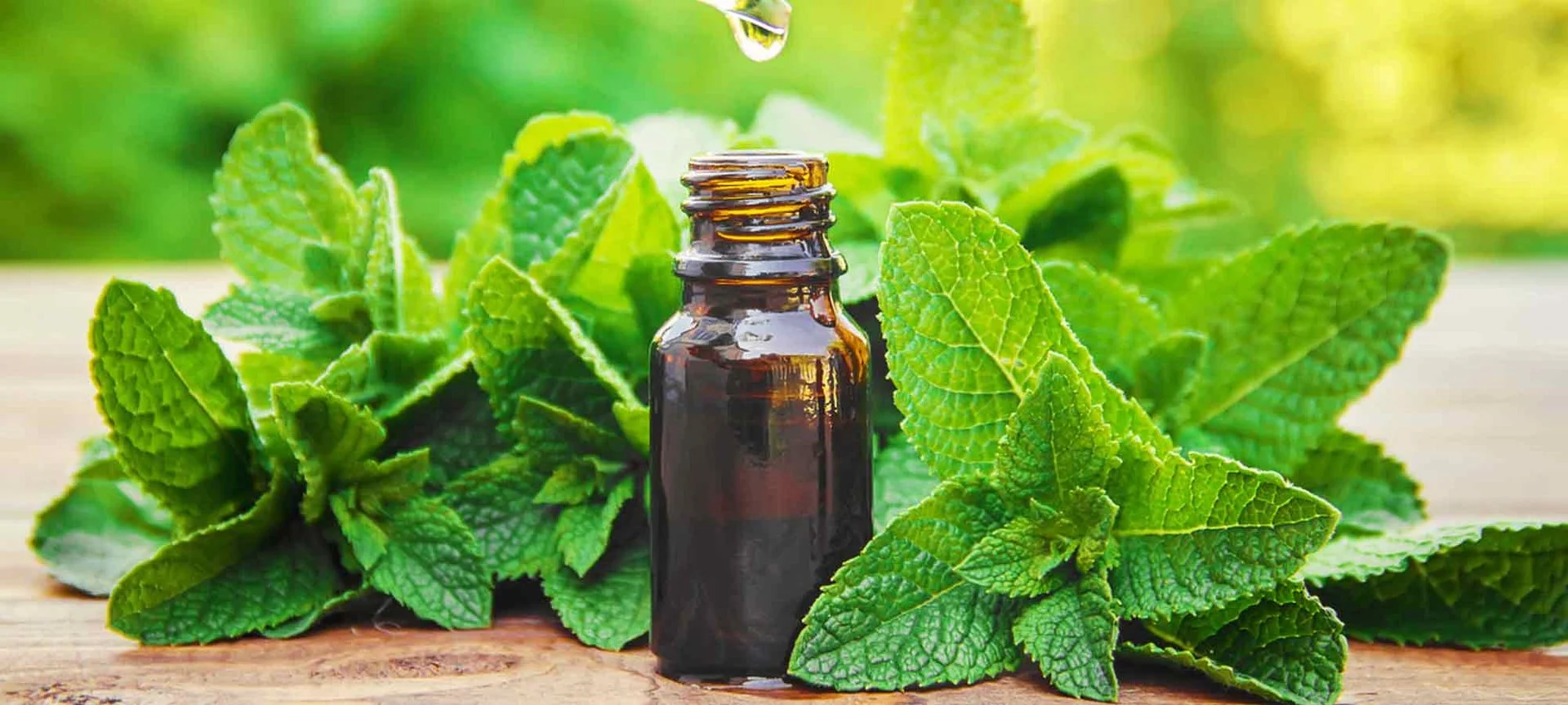 Peppermint